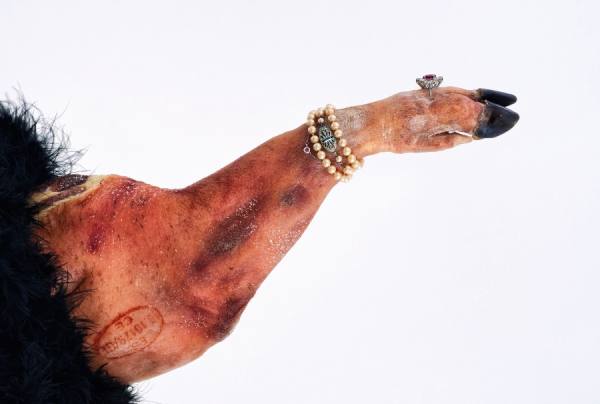 Photograph Jose Laino Miss Piggy Without Gloves on One Eyeland
